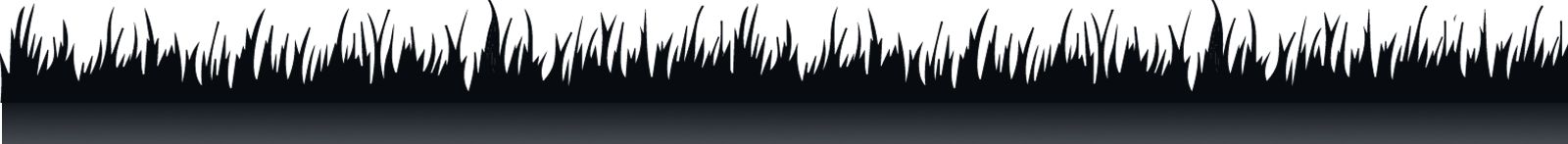 tr